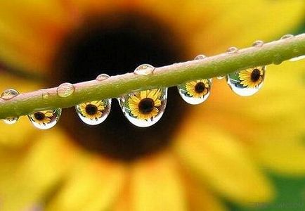 z18cc57da184cda7691979243a026464e 綿花の収穫ピークを迎えた南北新疆の綿花生産地