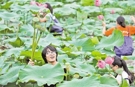 z947e81fb5df9c31545c965d049134455 農作業とスポーツが合体、楽しさ満点の「農耕フィットネス」招待試合