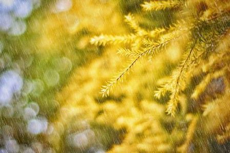 ズボン下履いた?今日の北京市は、最低気温4度! ze6ebf59718bf43505c3bb46f88a5f682 ズボン下履いた?今日の北京市は、最低気温4度!