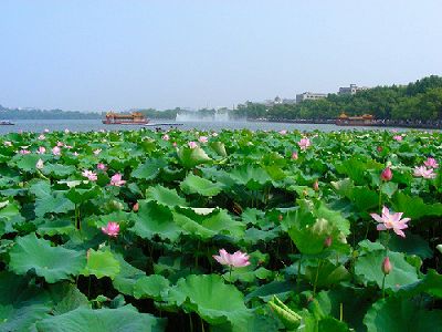 zc7edef0ac0a5afa9abc2bf3a1580a67b 海峡両岸の第11回農業博・第21回花博が開幕