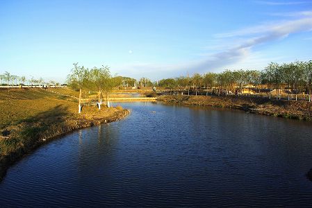 z4b2b193639de0ce855545cd02df313f4 渡り鳥たちの楽園　甘粛省黒河湿地