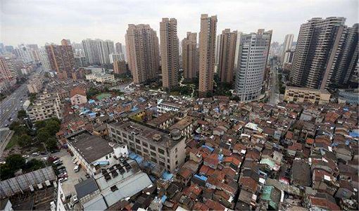 上海市でペットと触れ合う体験館が人気 ちょっと変わった動物に人気が集中 z4c16aa83126a5a79f1a44e9c02c5004b 上海市でペットと触れ合う体験館が人気 ちょっと変わった動物に人気が集中