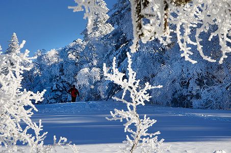 「氷の建築士」5千人が昼夜問わず作業し作り上げた「氷と雪の世界」 吉林省長春市 zc2e8b47dfcc2ff0286e79f51d0a016cd 「氷の建築士」5千人が昼夜問わず作業し作り上げた「氷と雪の世界」 吉林省長春市
