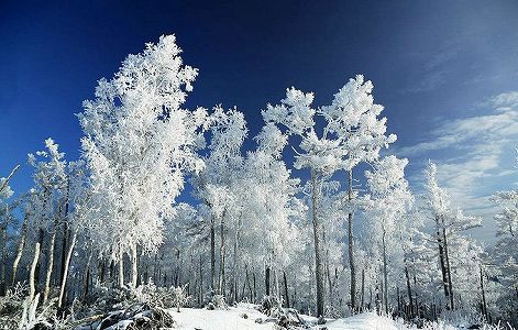 zdb08ebeb9b9d8b4e0a0ca7083abe2c51 「中国で一番寒い村」の最低気温はマイナス40.8度！　黒竜江省