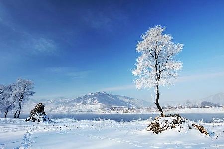 1月20日は大寒 大寒を過ぎれば、再び新たな年に z2ac6908333ba2afd0d8a77bc57772d00 1月20日は大寒 大寒を過ぎれば、再び新たな年に