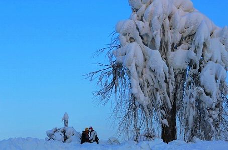 z5007b14deeac810fddd7108322a362ff 1 氷彫刻と雪像で都市の歴史を再現　遼寧省