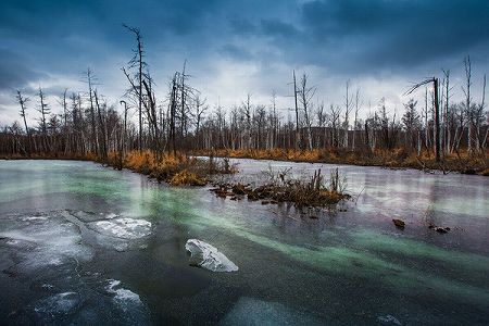 z61b888a2019e512805860ac73e708a15 「中国で一番寒い村」の童話のような雪景色　黒竜江省