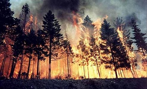 オーストラリア観光業界「中国からの入国制限の解除を」 zb4380217c2a3ee4c32bd025236ff514b オーストラリア観光業界「中国からの入国制限の解除を」