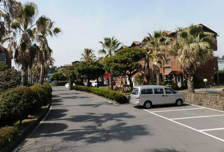 urioewuaor 海南省が日本と韓国に医療用マスク20万枚を寄贈