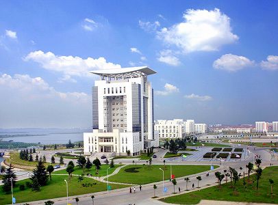 z3eec6c896c2584fdced7312ef8e20e23 武漢市の93歳女性が退院時、看護師の防護服に牡丹の絵をプレゼント