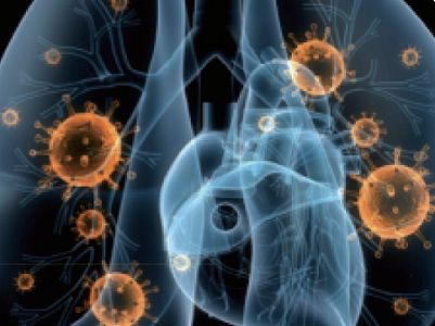 z6ba38d85d7f09750b180cdd1b353efee 中日は習主席の訪日時期について緊密な意思疎通を継続