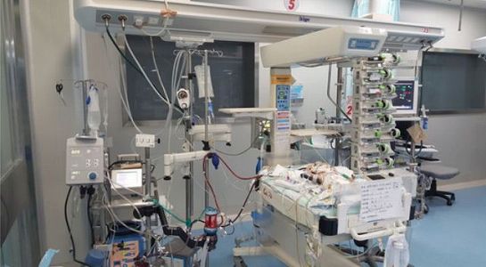 za7fa1896e29d8748b2b4407831e9aace 90％以上の肺機能喪失から回復した患者のECMO取り外し手術成功