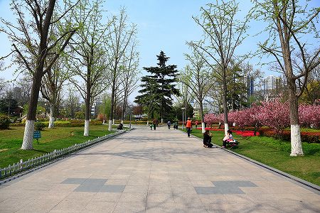 za99fed1243e37cb591a1120f56d1d518 手のひらをかざすと青になる信号機が江蘇省徐州市に登場