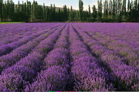 新疆維吾爾自治区で展開が進むホームドクターサービス zb96a6b3b47813f59645293bf09e41108 新疆維吾爾自治区で展開が進むホームドクターサービス