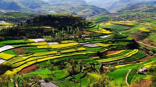zba2605ce95aa13ccbb9bbe5265d5f46b まるでカラフルなスカート！美しい棚田広がる