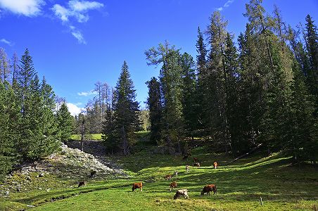 z7356b36b63cb11333b72f49e5ca3dcdc 新疆の喀納斯、可可托海など景勝地32ヶ所が2ヶ月間無料公開へ