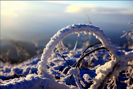z8c8b6f7177a3f3cb92c2fc886b54f3d7 「中国で最も寒い村」大興安嶺呼中区で大雪