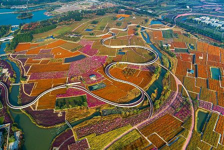 zb6e2d6587cc362ebd5195824abee5dc9 大地を彩る「パッチワークの花畑」　江蘇省宿遷