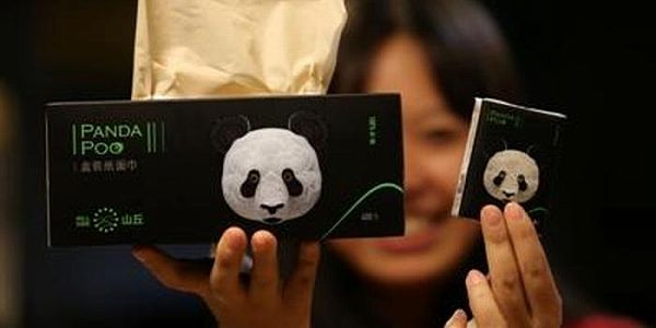 zbdb00d85994fcd015e3d891408a476f4 陝西省起良村の「パンダ紙」　古来の製法で糞便を利用