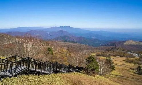 栃木県在住の女性の元に突然中国人女性から届いたマスク 善意の輪広がる zcc0c51740a05784ddd216d90aee77433 栃木県在住の女性の元に突然中国人女性から届いたマスク 善意の輪広がる