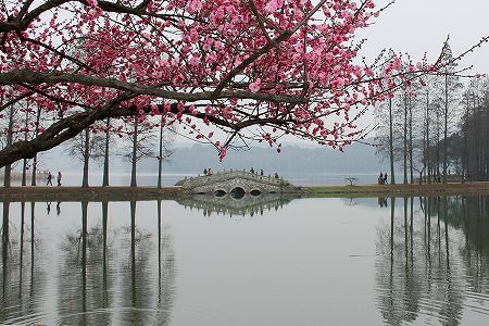 ようこそ!廃車2階建てバスを改造したカフェへ 湖北省武漢市 ze6e4439c0e9a6d84c6551567b18a1744 ようこそ!廃車2階建てバスを改造したカフェへ 湖北省武漢市