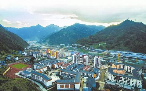 z06801ad8f58e66582a9a382ebf023d6c 野生パンダに遭遇の村民が思わず「どこに行くのだ？」と声かけ 問われたパンダは「？？？」