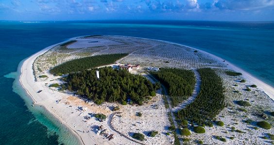 z62078ab5eb729f3db94d51d3db196295 砂性アルカリ土壌で野菜栽培する海軍兵士たち　海南省