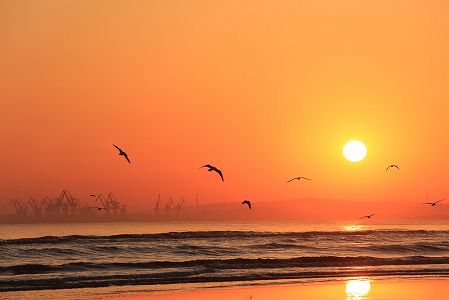 z667e14a07b1c6d2efa6c522ed1096468 ダメにした杖46本！片足失っても強い意志でサッカー練習　広東省