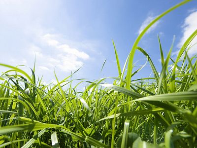 z8e8e1e9f128202ce3ffc0571620ba59f 北京市における7月1日の新型コロナ新規感染者は1人