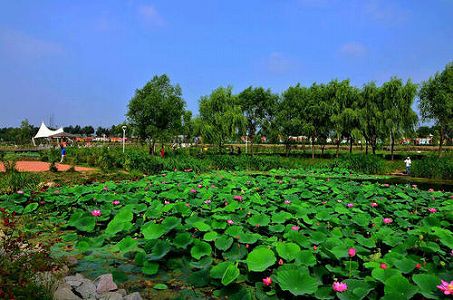 長江中流・下流地域、今後数日で最高水位ピークに z9f8c1dead7fa97b748e7a3cdc2f520f0 長江中流・下流地域、今後数日で最高水位ピークに