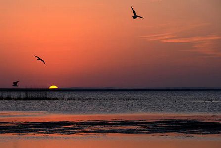 zae824720a2c8de68b18101a141e2ddaa 北京市の新型コロナPCR検査、累計829万9千人の検体採取 検査が必要とされる対象者の検査をほぼ完了