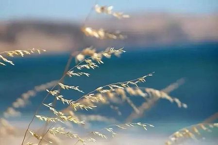 z584ecf53a31c650e956f3129a0c39e2c 北京市、屋外ではマスク着用不要