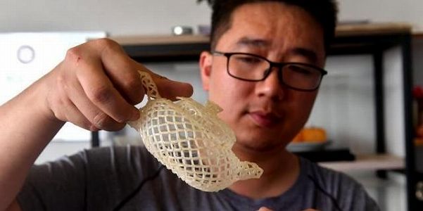 zcc80baf434a54e7b43ed759734822c8d 米粒をつないで作ったオンドリやカニ！無形文化遺産の「高楼米線」