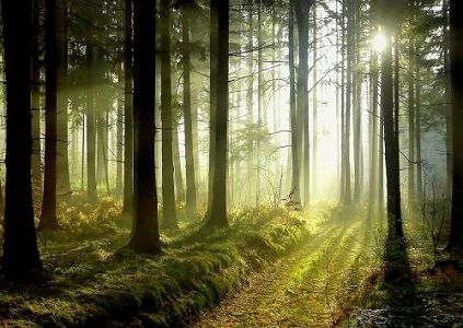 zdc96e6980b14bf19cdcd55e673593e77 WHO「新型コロナワクチン6種が3期臨床試験、うち3種は中国」