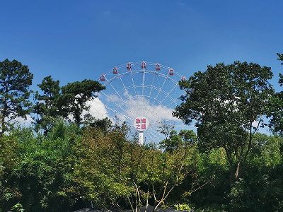 zffc44ec899b5a1f4542ae0e4d592e76c 誰と乗りたい？一周13分14秒の「桜色の観覧車」　湖北省武漢市