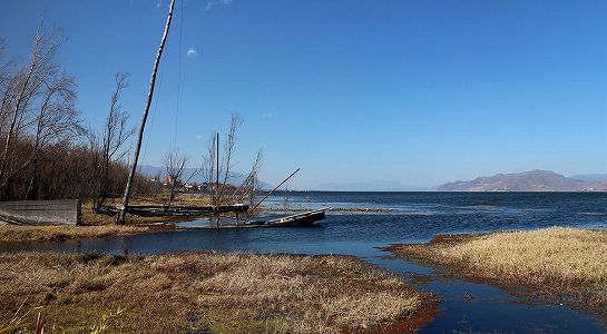 雲南省大理市で珍しいシロガシラトビの飛来確認 z4354c5c49f39a751d7f0d0ceb74d9532 雲南省大理市で珍しいシロガシラトビの飛来確認