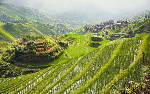 z4cb83b77af8386494ffb72f4783cb07f 雲霧たなびく棚田とヤオ族の村落　広西族自治区・桂林市