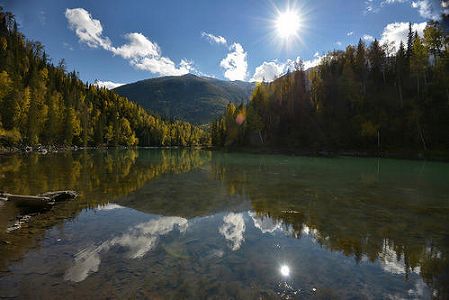 z9dd5378b76baad1cd96e1ccef373972c 新疆カナス湖の白鳥　静かな湖面が天然の「舞台」に