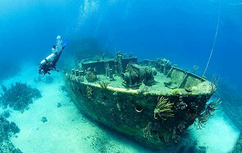 zef13382b772159efc9a5ab25283c1b49 沈没船「黒石号」文化財展が上海市で開催