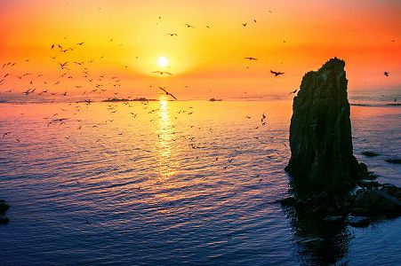 z0bd6372fe86ccd77f22b8579a414cef2 WHO「5グループはインフルワクチンを接種すべき」妊婦など