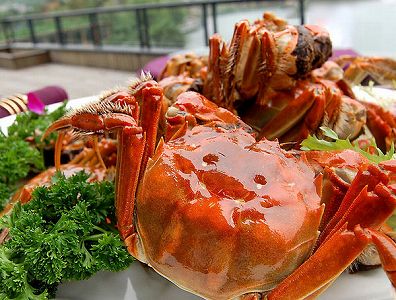 zb8dfb43573fa2d70951165b2cd19c083 稲作とカニ養殖で所得アップを後押し　河北省盧竜県