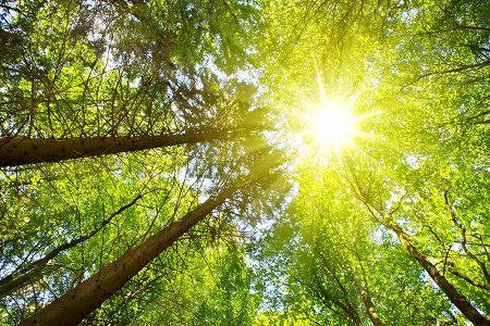 zc31d47ac253f98cc17faf338527c2f5f 8連休中も北京到着の国際線直行便をコントロール　北京市