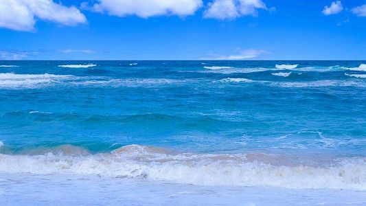 z13dfa8db9b19782e1e2041826ee1710d インドネシアで12月に900万人が中国開発の新型コロナワクチン接種へ