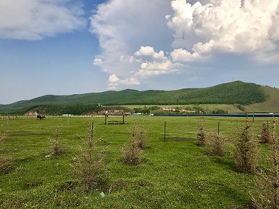 絶滅危惧種のコサックギツネ、内蒙古自治区で発見 z4c9238a7a5ba34ea64a78c1db45d1864 絶滅危惧種のコサックギツネ、内蒙古自治区で発見