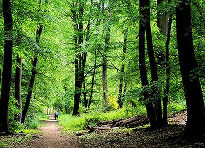 第23回中日カラオケコンクール決勝戦が東京で開催 z56c63d39e1742851d79dbaa4baa14ca5 第23回中日カラオケコンクール決勝戦が東京で開催