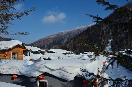 雪が降り積もりまるで童話のような「中国の雪郷」双峰林場 黒龍江省 z8988a9c4839b747bde4da6e1f0f79932 雪が降り積もりまるで童話のような「中国の雪郷」双峰林場 黒龍江省