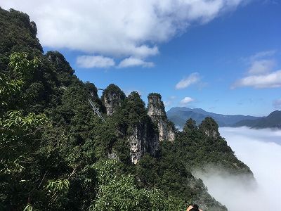 z8f6d182c554044651577c398a1ef173d 湖北五峰に美しい「雨氷」現象　山の植物を「急速冷凍」に