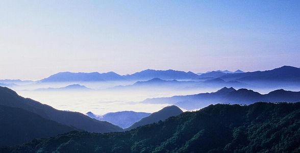 中国の5種類の新型コロナワクチン、3期臨床試験を実施中 za4eb0c983456eaefaaec4599c7e1abfc 中国の5種類の新型コロナワクチン、3期臨床試験を実施中