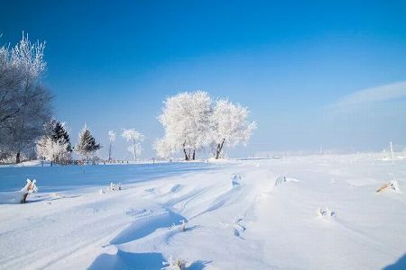 za8a4a59aa4cf2eca803e22c6cd7de959 冬季限定！氷点下の環境で湯を一瞬で凍らせるのはまさに芸術美！