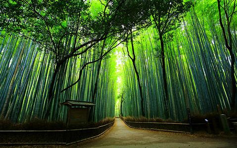 北京市の小学校と中学1、2年生は予定を早め冬休みに zaf35264018265af9dc32b6989cdeb09e 北京市の小学校と中学1、2年生は予定を早め冬休みに